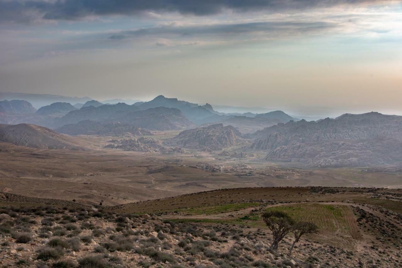 Bedouin Pink Ecohouse Bed and Breakfast Wadi Musa Exterior foto